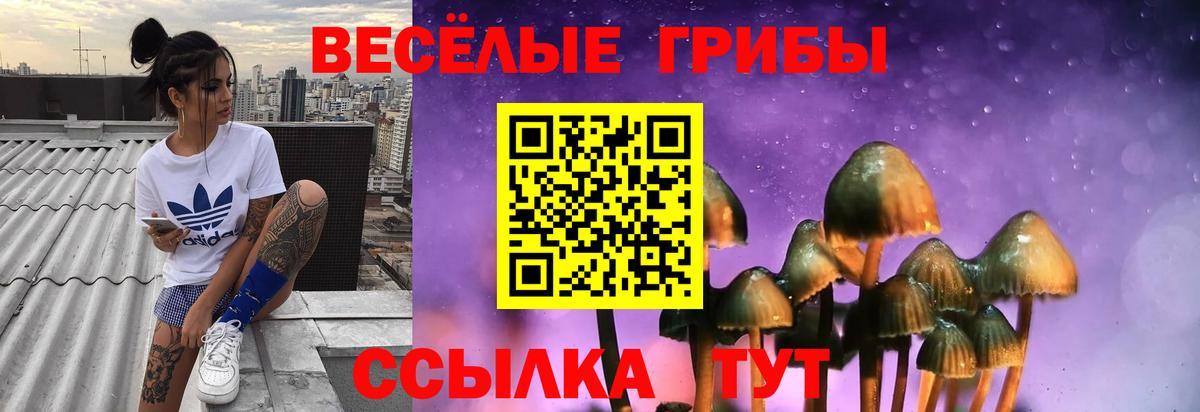 Галлюциногенные грибы Psilocybine cubensis  Вход с VPN  дарнет шоп  Дербент  Галлюциногенные грибы Psilocybe 