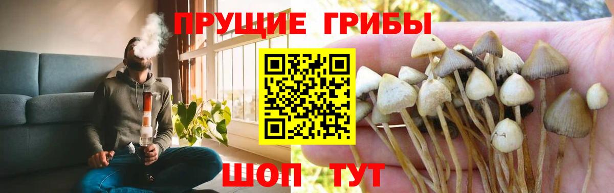 Галлюциногенные грибы Magic Shrooms Дербент